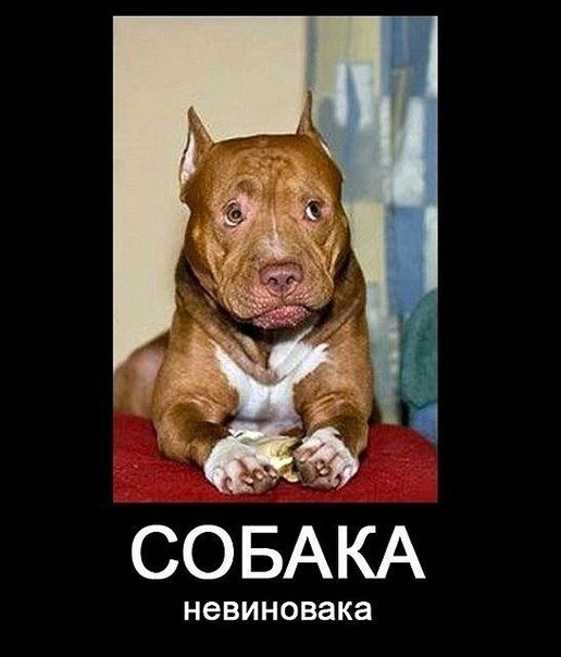 Ольга Козлова | Ртищево