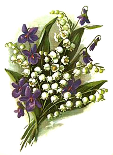 Оля Войтова Nikomi | Минск