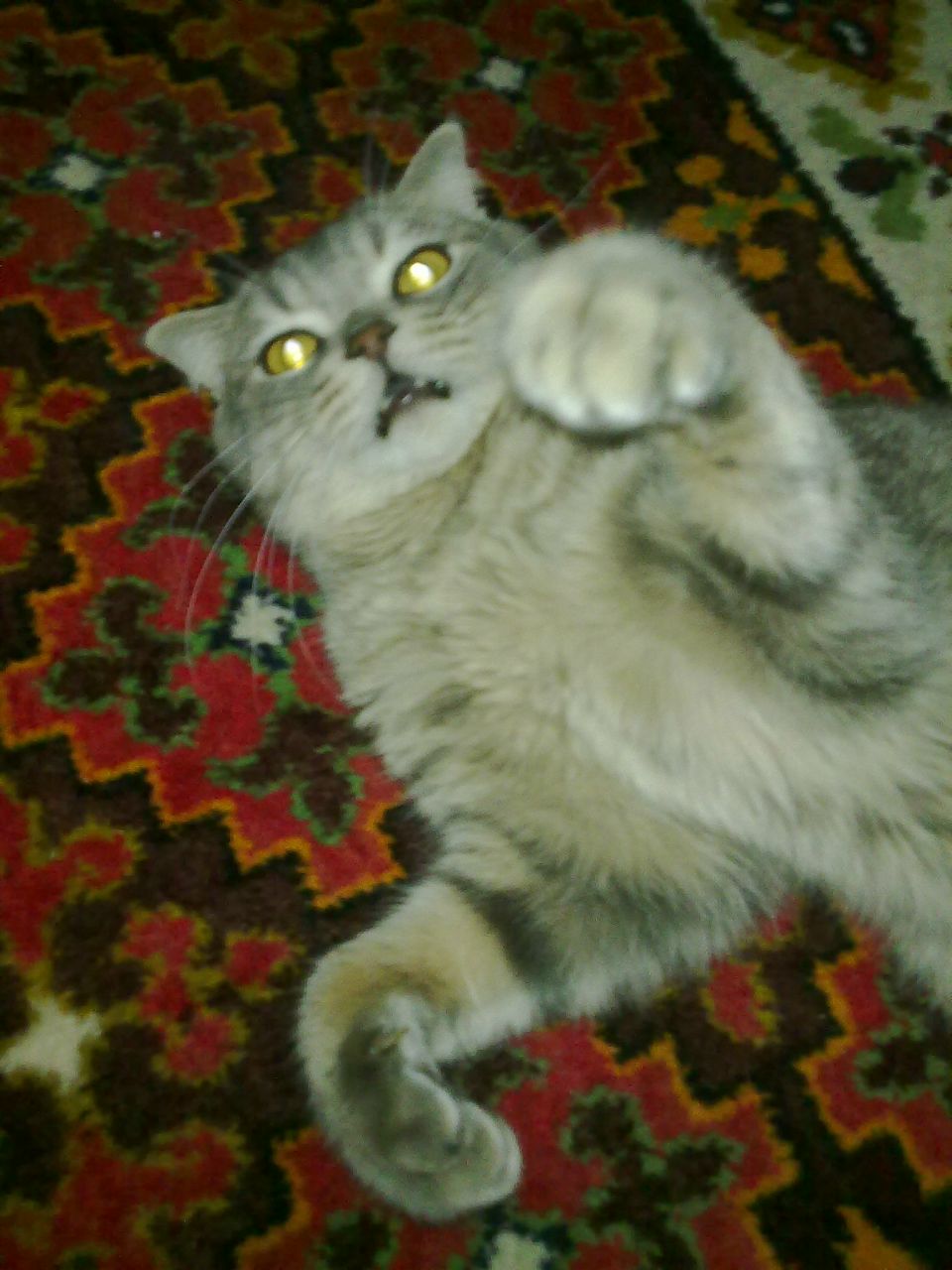 Константин Коршиков Ʊ Olduwayn Ʊ | Тольятти