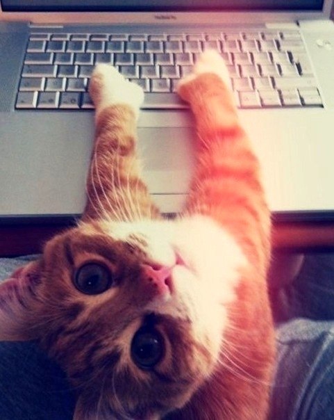 Ксюшка Єремейчук | Ровно