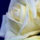 Альбина Гильманова | Уфа