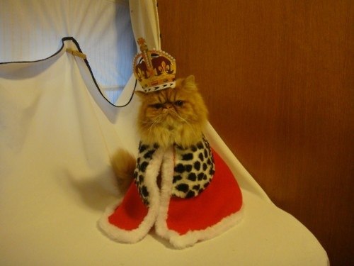 Валерий Петрушин Вячеславович | Санкт-Петербург