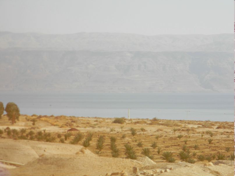 Тимур Якубов ДОМОВОЙ | Донецк