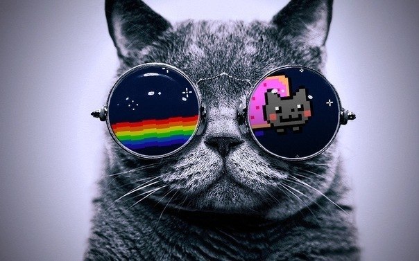 Andrei Kobanov | Санкт-Петербург