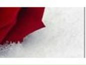 Елена Сергеева | Сенда