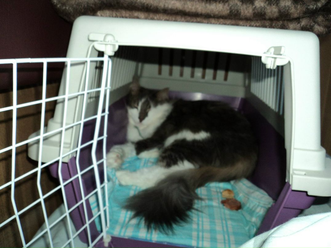 Катюшка Жевагина | 