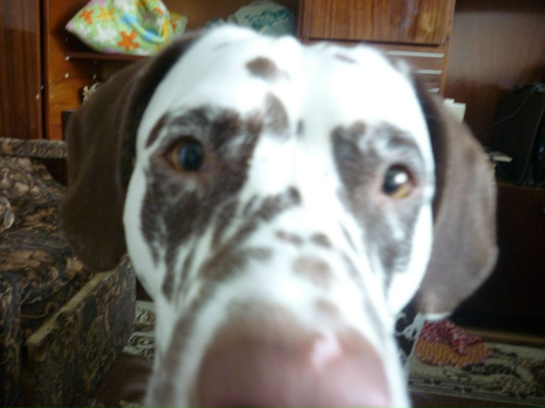 Ксения Кулиш ~сколопендра~ | Ижевск