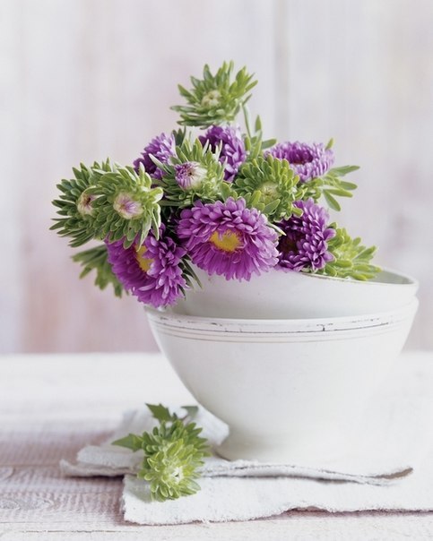 Оля Шипульняк (♥ my friends) | Киев