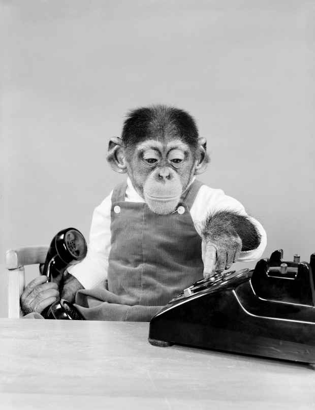 Кузькина Мать | Новодвинск