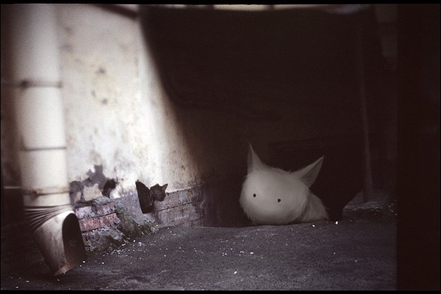 Алексей Краснов | Казань