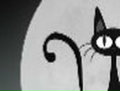 Марина Чернышова | Херсон