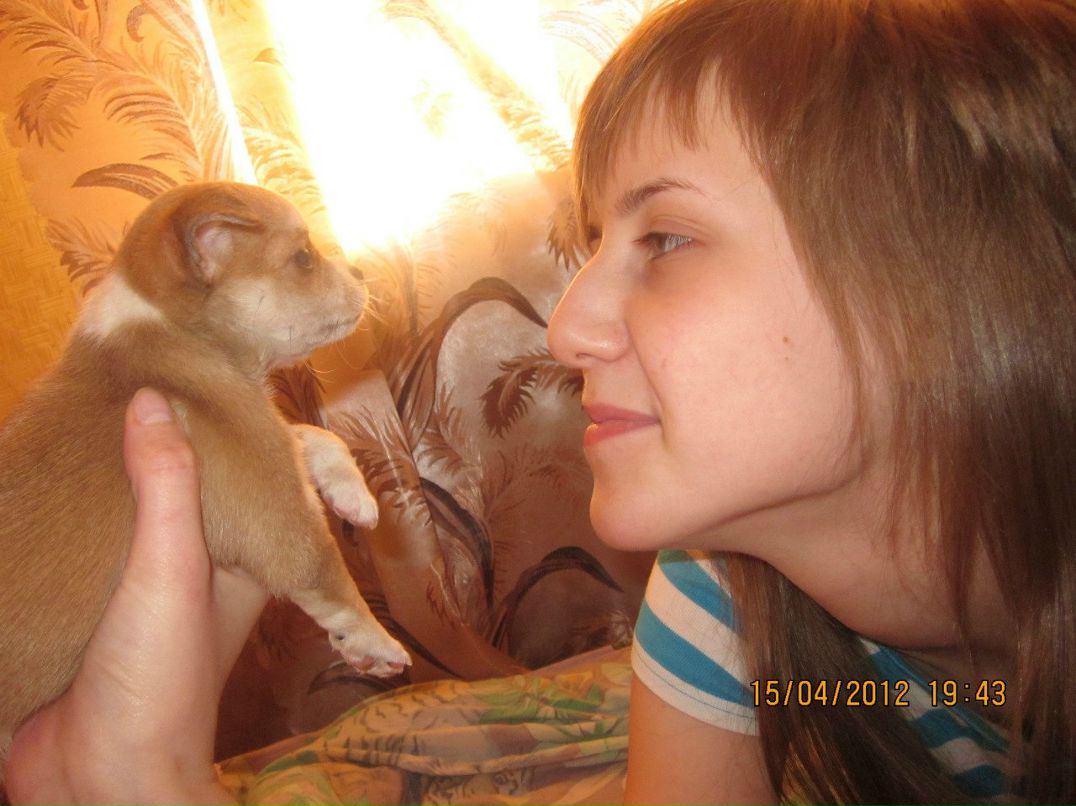 Викос Кокос | Санкт-Петербург