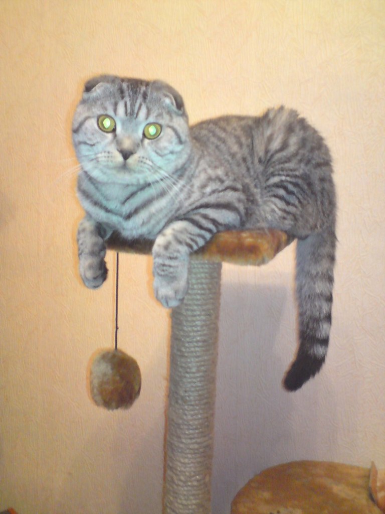 Илья Ручейков | Кострома