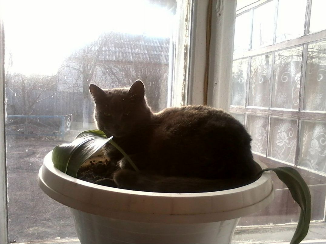 Inna Shkabko | Кривой Рог