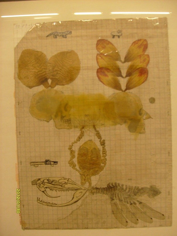 Ирина Тюфанова | Санкт-Петербург