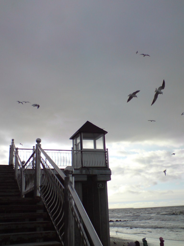 Светлана Шитикова-Гуськова | Калининград