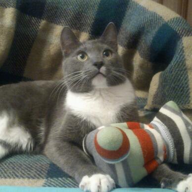 Инна Левченко | Санкт-Петербург