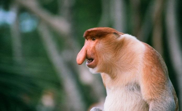 Игорь Баракин | Краснодар