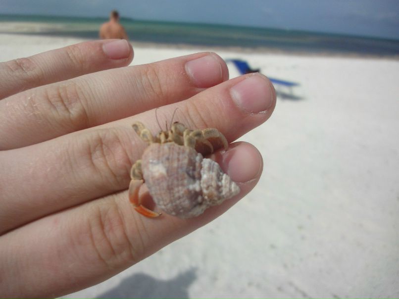 Рома Дашкевич | Мурманск