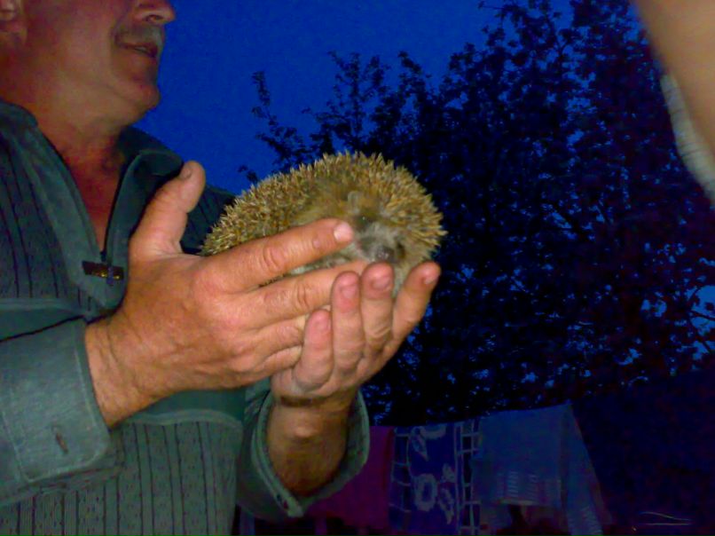 Кирилл Раков | Санкт-Петербург