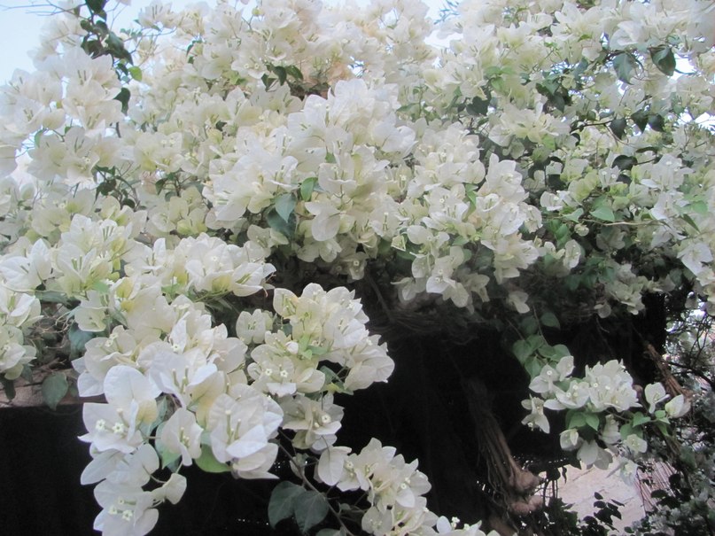 Алсу Бикбаева | Казань