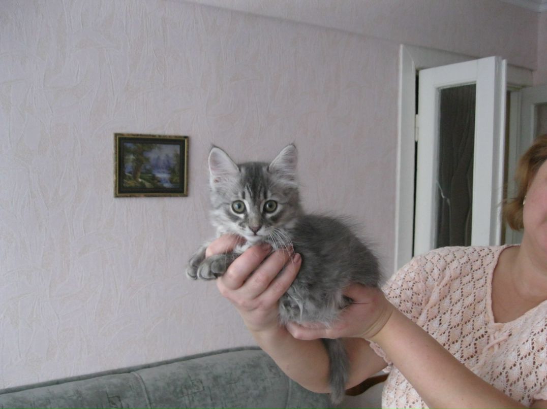 Сергей Чернобривец | Омск