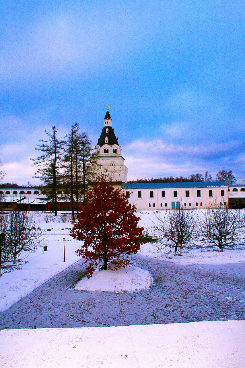 Антон Герасимов | Солнечногорск