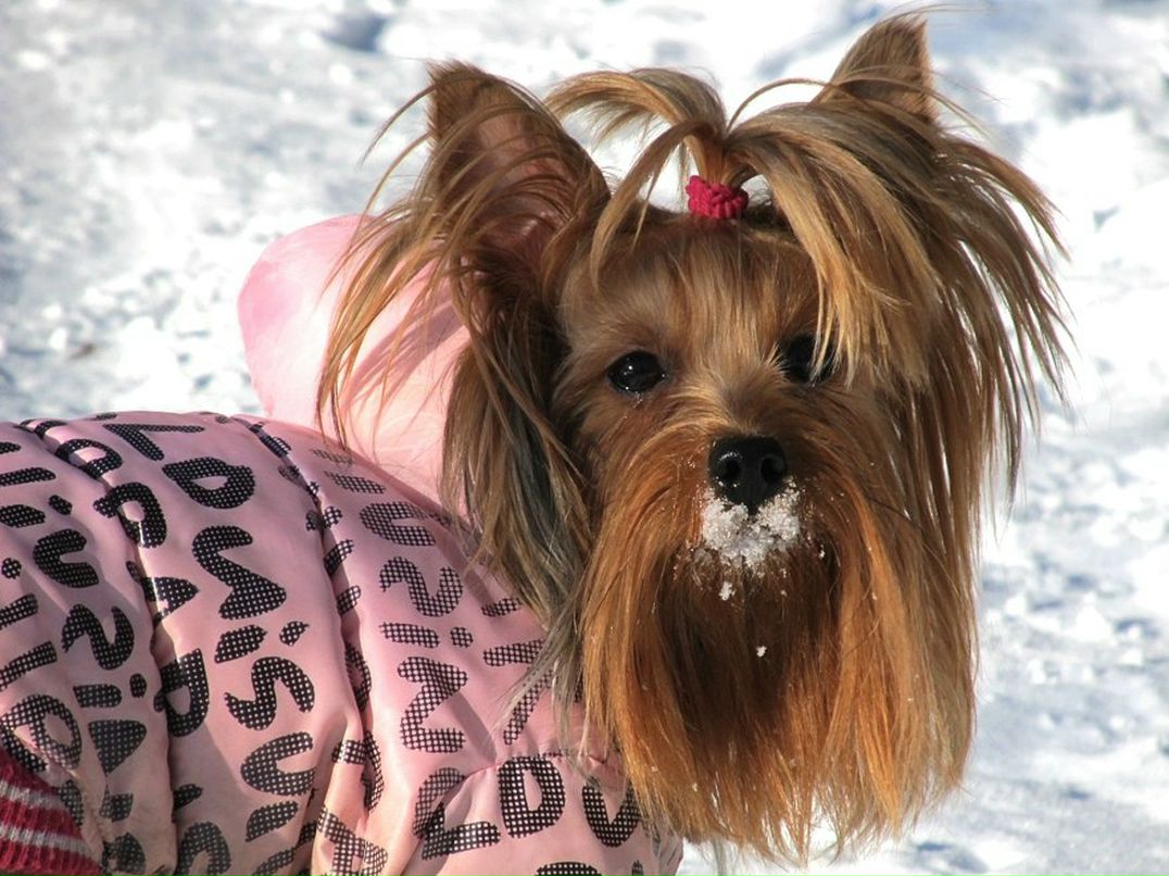 Костя Щербинский | Минск