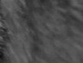 Дмитрий Карабаджак | Ладыжин