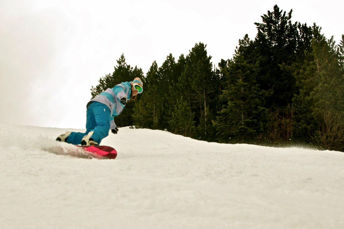 Алёна Кривошеева | 