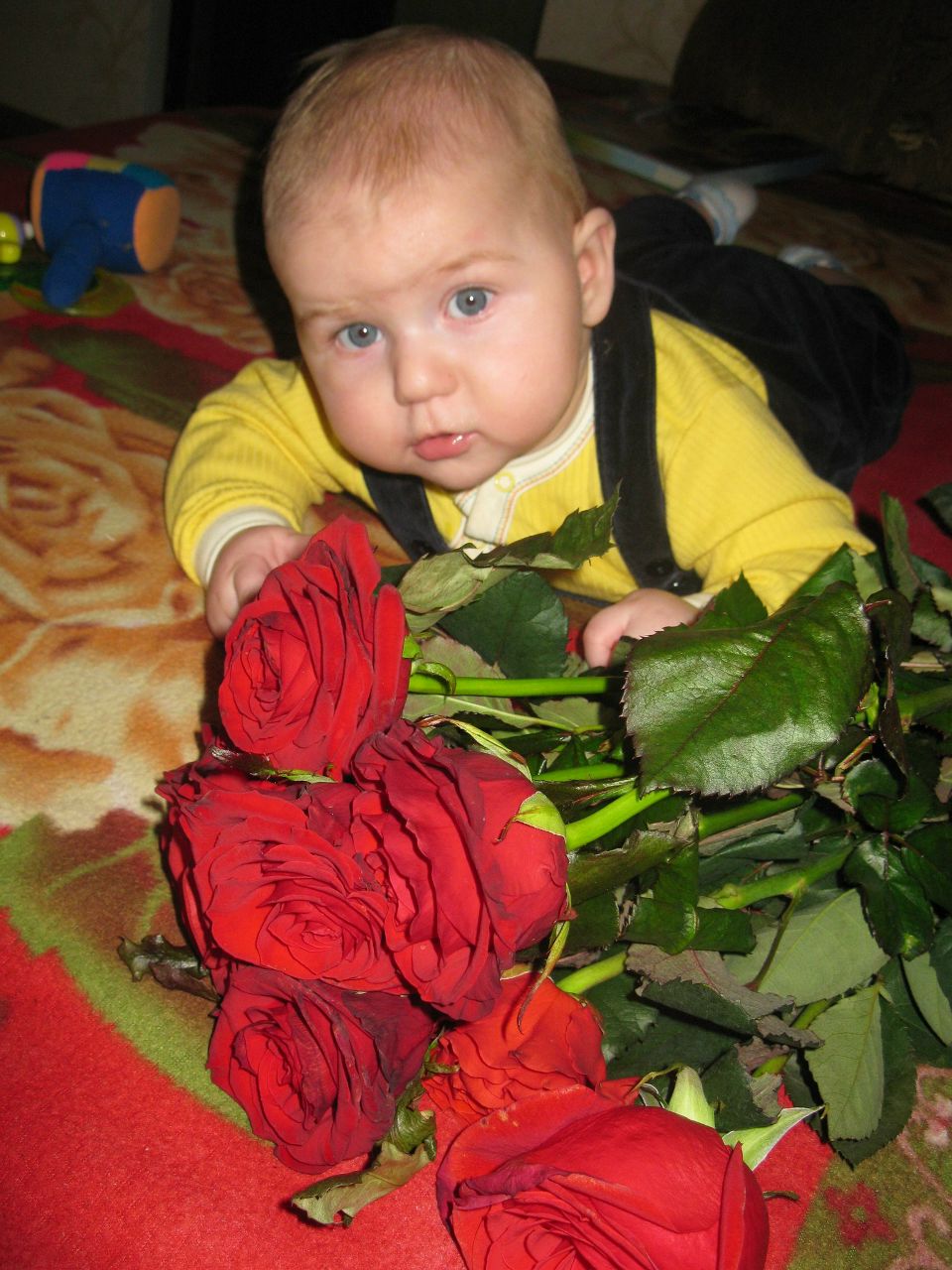 Лена Баштанник | Днепр (Днепропетровск)