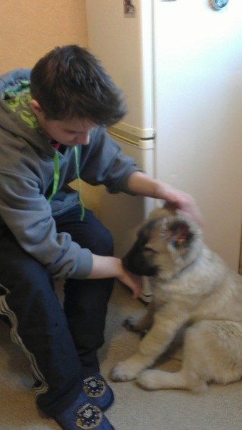 Максим Шананин | Санкт-Петербург