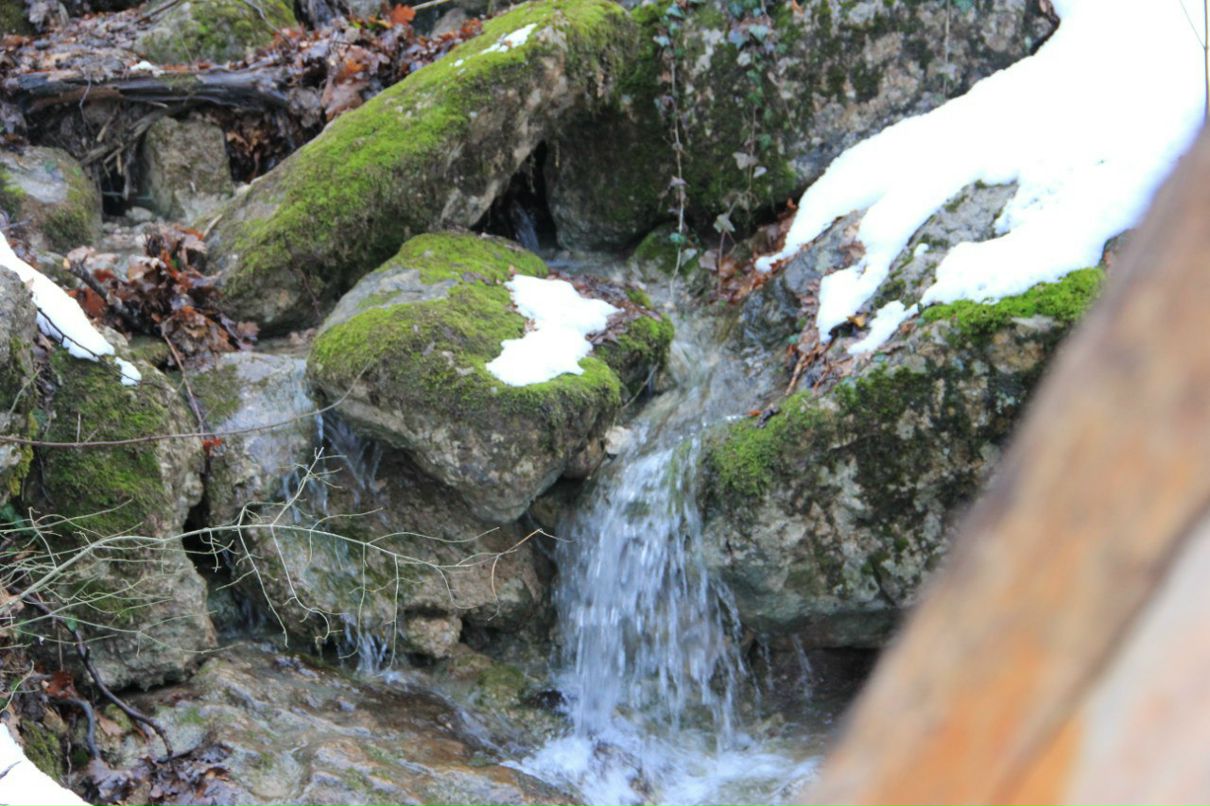 Алексей Пренко | Николаевка