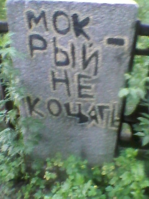 Віка Курдуплик-Кудрявцева | Сумы