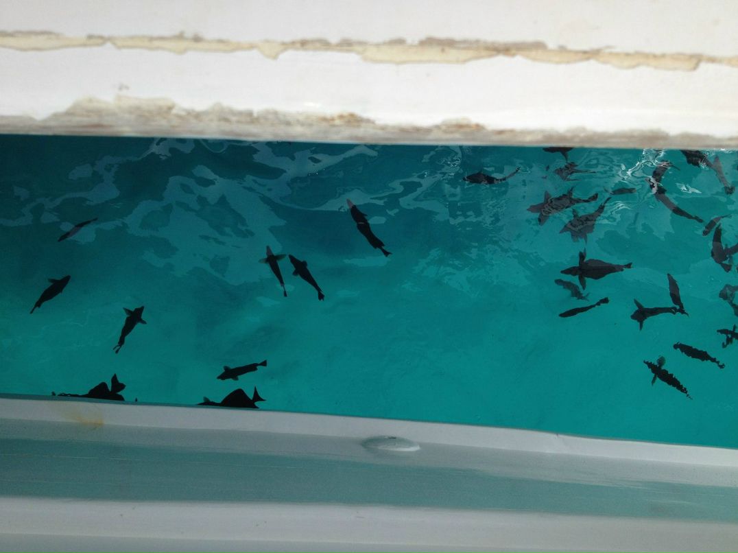 Александр Протасов | Великий Устюг