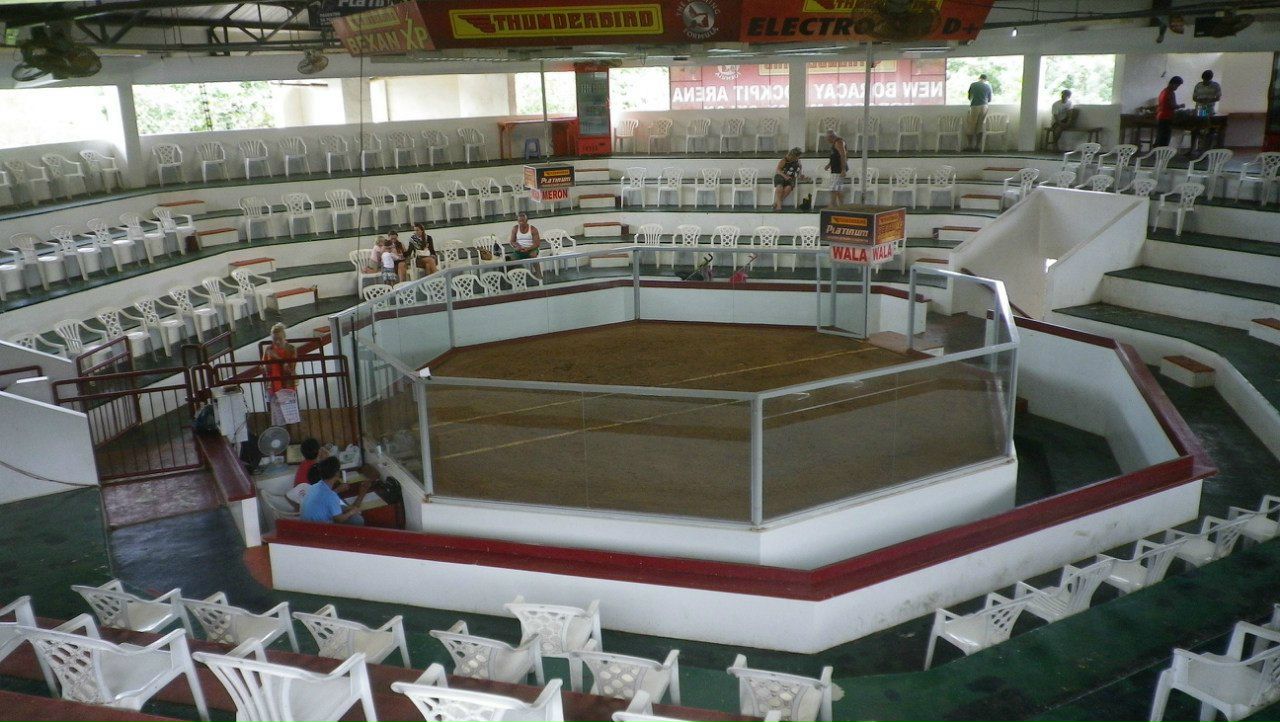 Олег Мухин | Санкт-Петербург