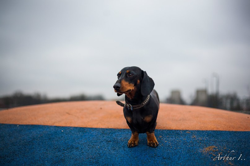 Arthur Ivanov (Aston Inners) | Калининград