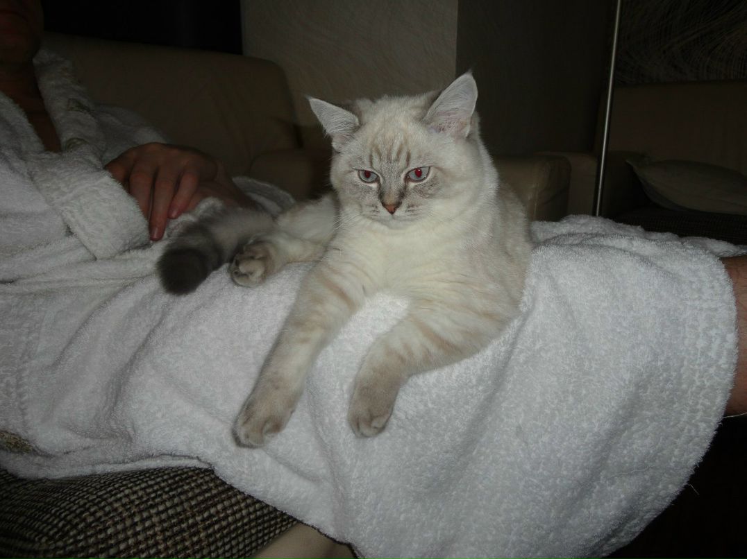 Татьяна Шилович | Минск