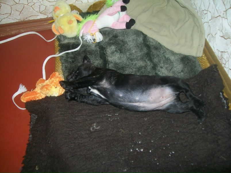 №24, Михаил Прохоров, 46 лет, Харьков №24, Михаил Прохоров, 46 лет, Харьков