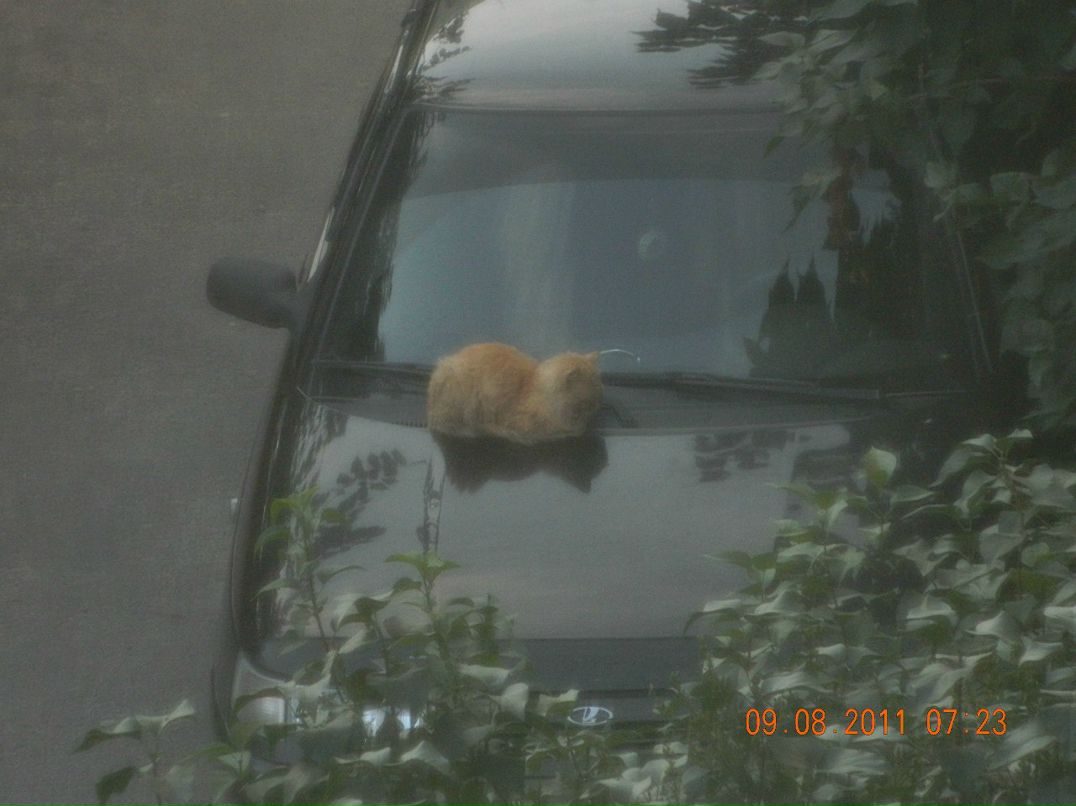 Евгений Мельниченко W | Челябинск