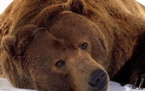 Михаил Васильевский | Санкт-Петербург