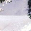 Руслана Черепнина | Киев