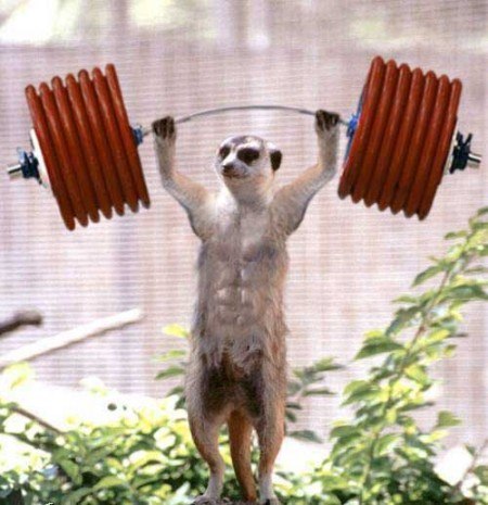 Sergej Svetovidov ℒℴνℯ | Москва