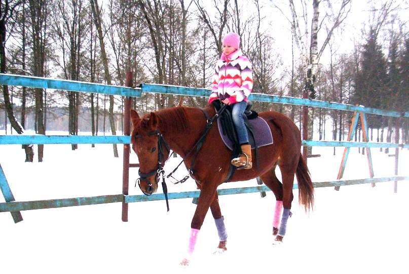 Даша Василенко ♞♞Втора семья Лошади♞♞ | Витебск