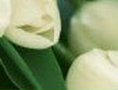 Christina Savenkova ♥✔♥ | 