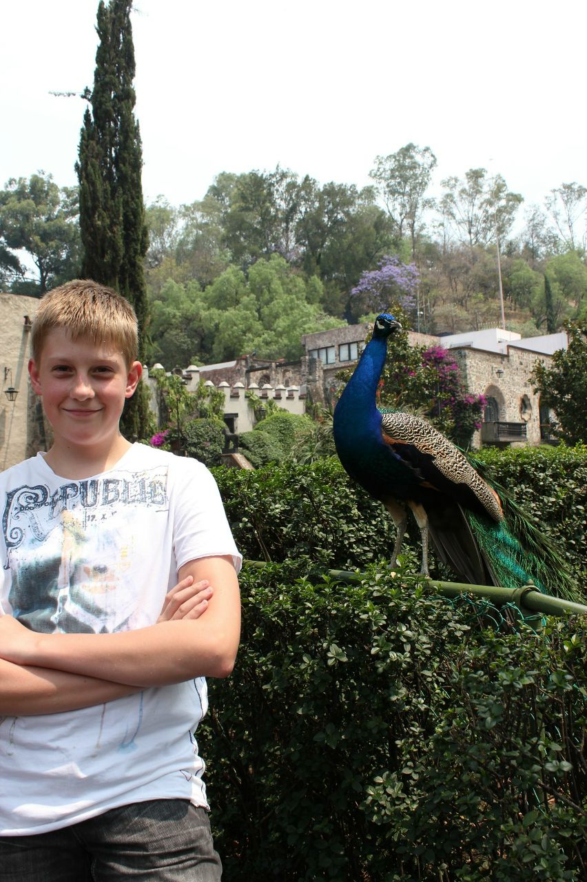 Иван Маркелов | Москва