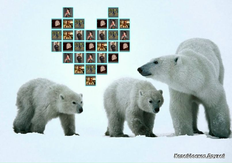 Алексей Сисин | Саратов