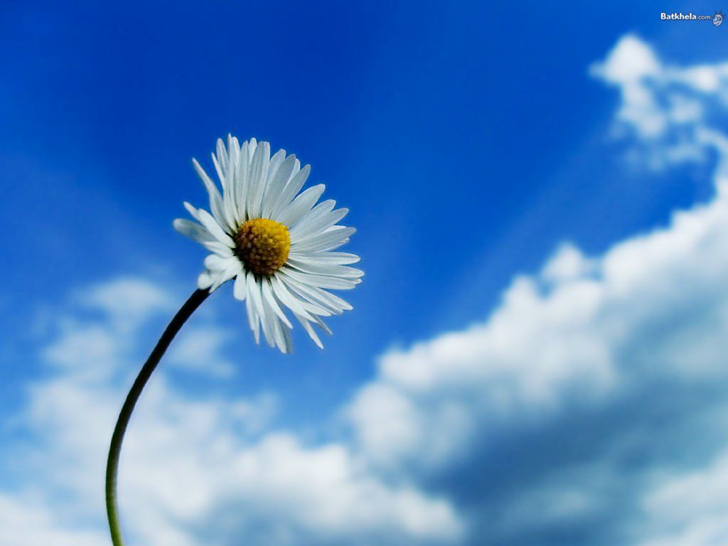 Светик Батуева | Пермь