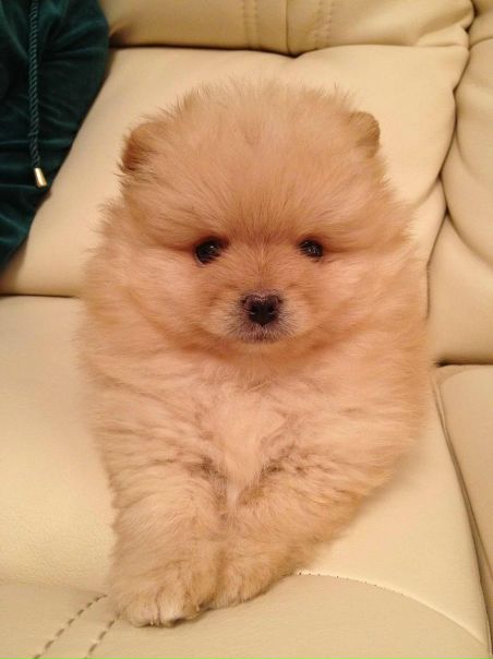 №15, Ольга Катикова, Орёл №15, Ольга Катикова, Орёл