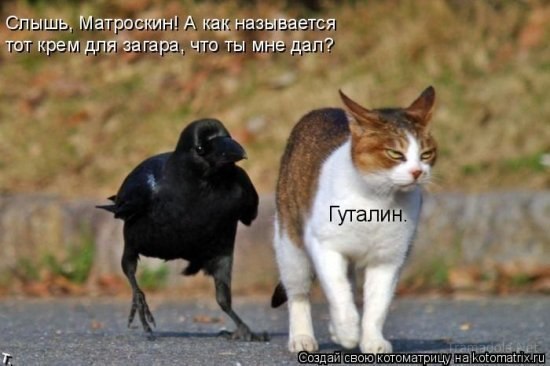 Ксения Чулкова | 